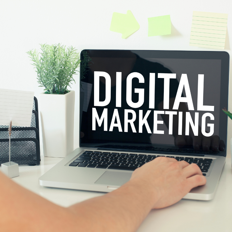Why SE Ranko Is the Digital Marketing